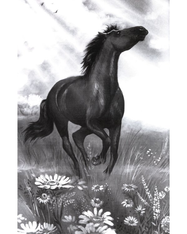 Галопом навстречу. 3-е изд.