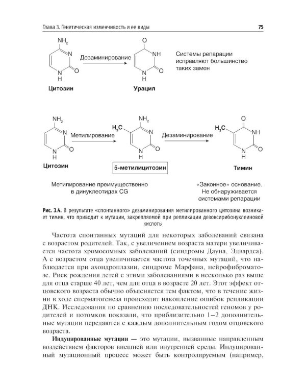 Медицинская генетика: Учебник
