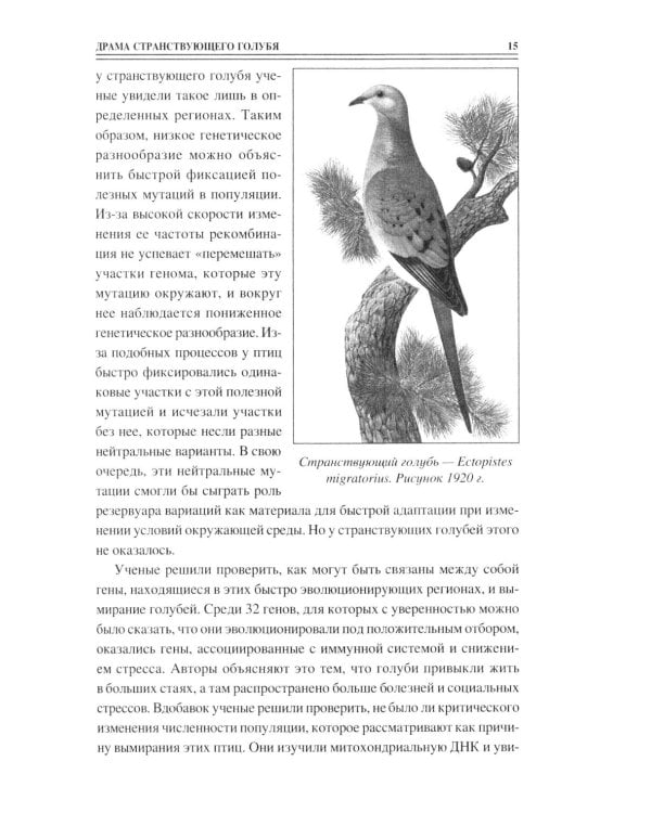 100 великих тайн криптозоологии