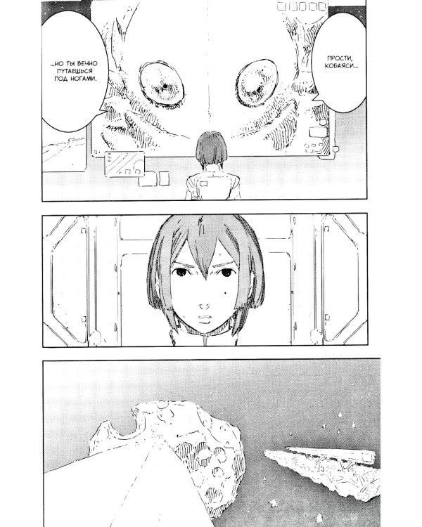 Рыцари Сидонии. Т. 14