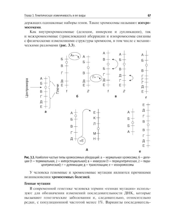 Медицинская генетика: Учебник