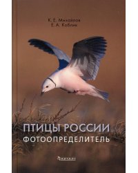 Птицы России. Фотоопределитель