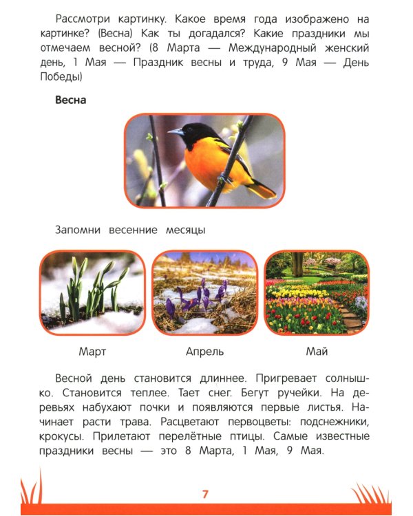 Книга знаний дошкольника. 5-6 лет: явления, предметы и многое другое