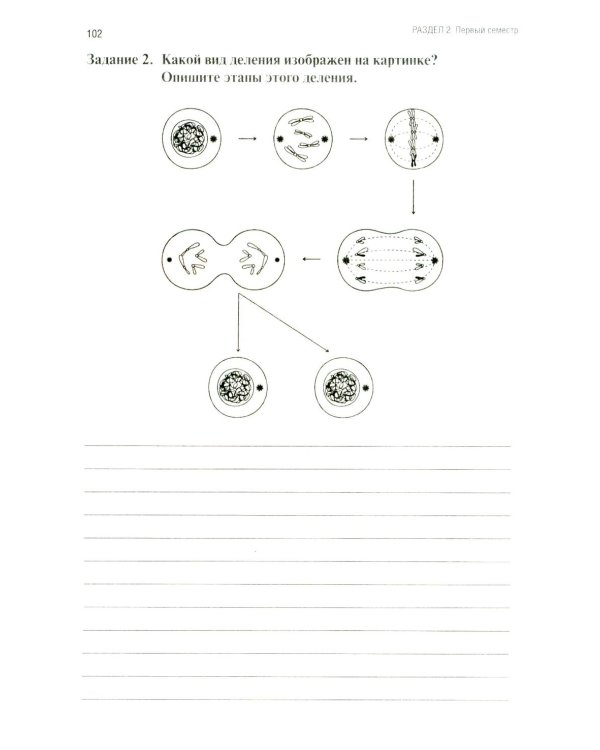 Анатомия и физиология человека: рабочая тетрадь. Ч. 1