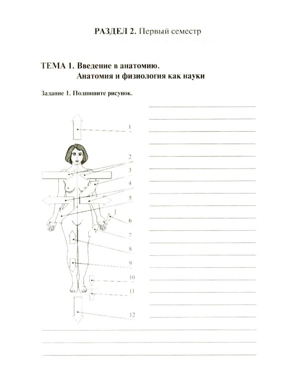 Анатомия и физиология человека: рабочая тетрадь. Ч. 1