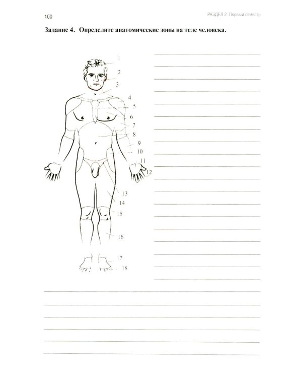 Анатомия и физиология человека: рабочая тетрадь. Ч. 1