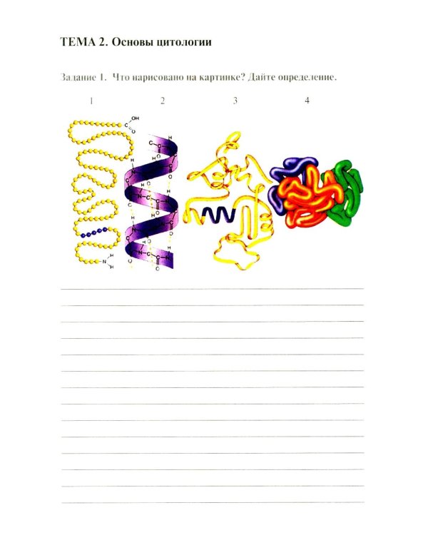 Анатомия и физиология человека: рабочая тетрадь. Ч. 1