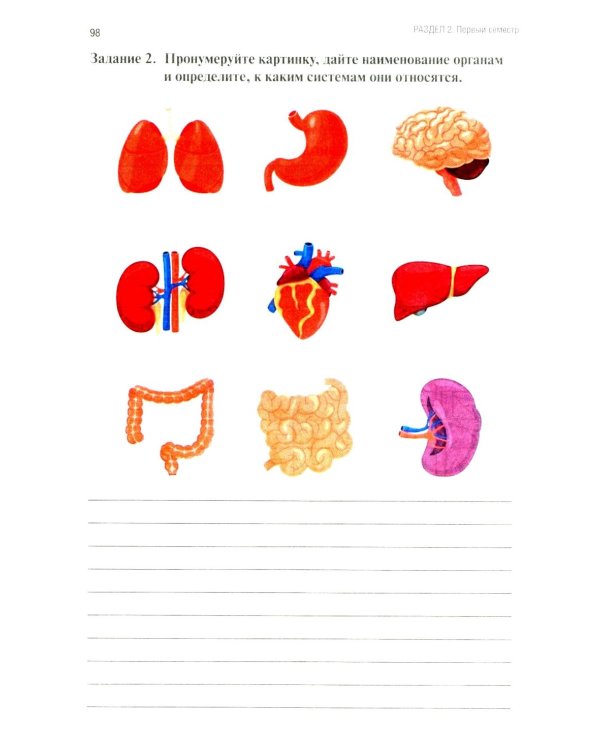 Анатомия и физиология человека: рабочая тетрадь. Ч. 1