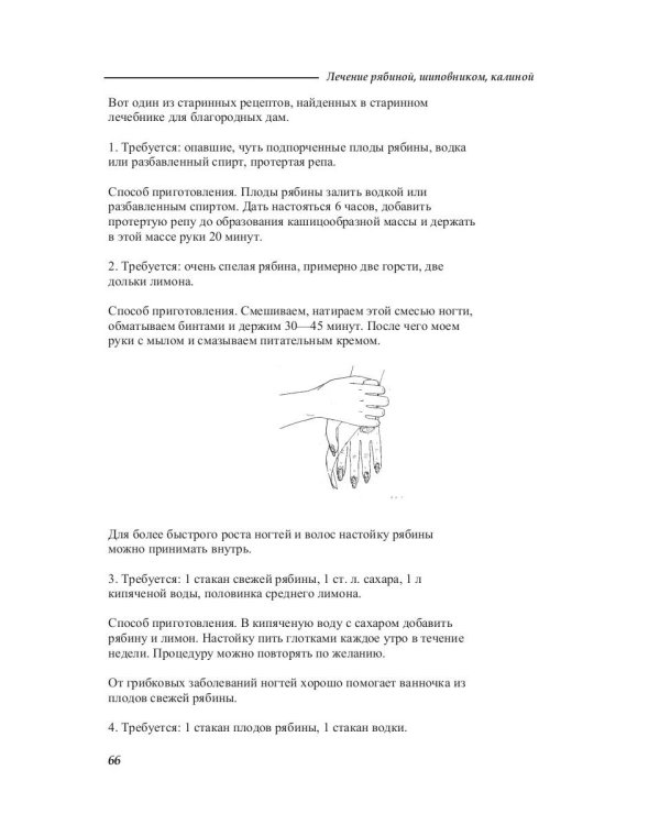 Лечение рябиной, шиповником, калиной