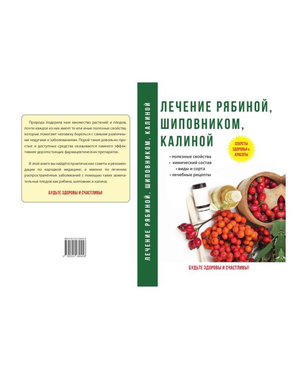 Лечение рябиной, шиповником, калиной