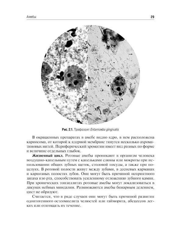 Медицинская паразитология и паразитарные болезни: Учебное пособие. 3-е изд., перераб. и доп