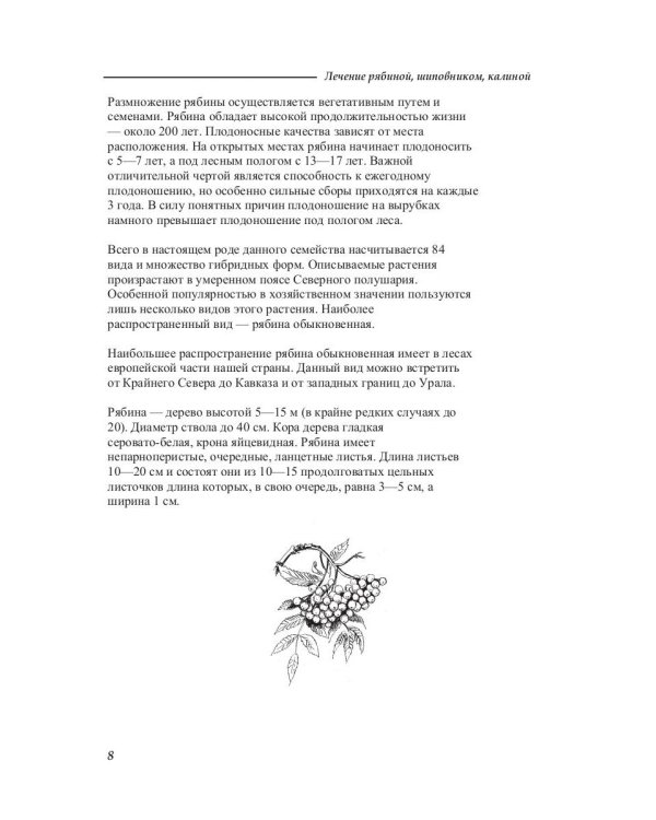 Лечение рябиной, шиповником, калиной