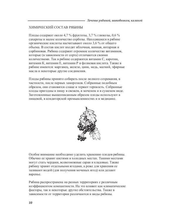 Лечение рябиной, шиповником, калиной