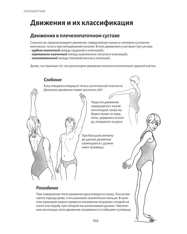 Анатомия движения: основы упражнений
