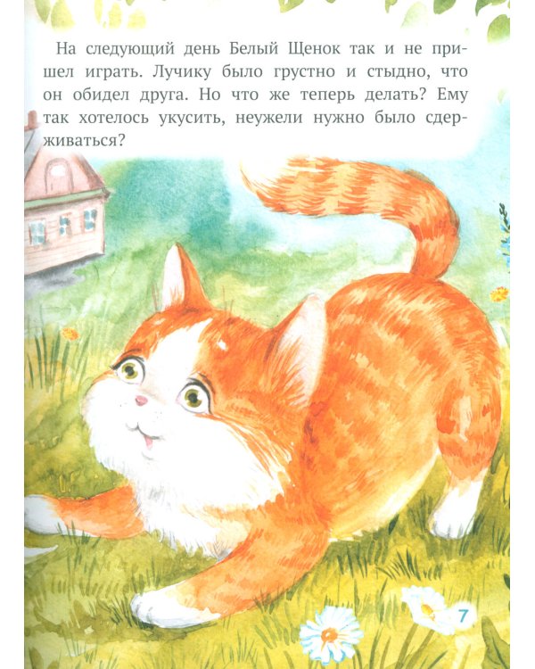 Как Лучик перестал драться