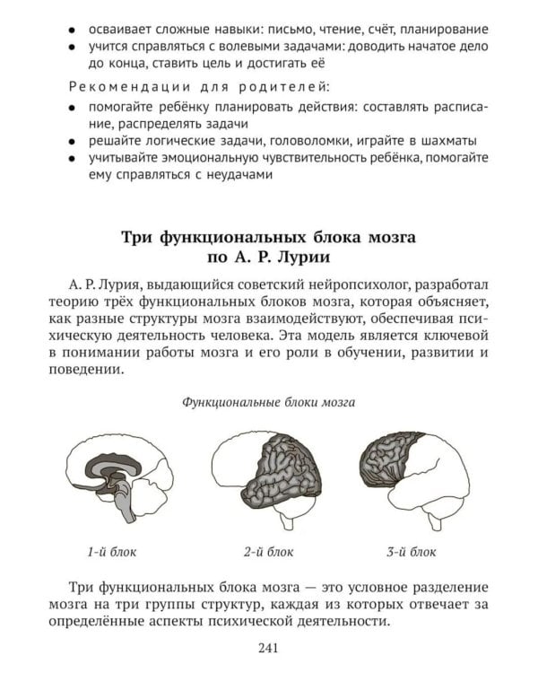 Нейроподход к развитию и обучению детей. Как работает пирамида обучения: от первых движений малыша до школьных успехов ученика