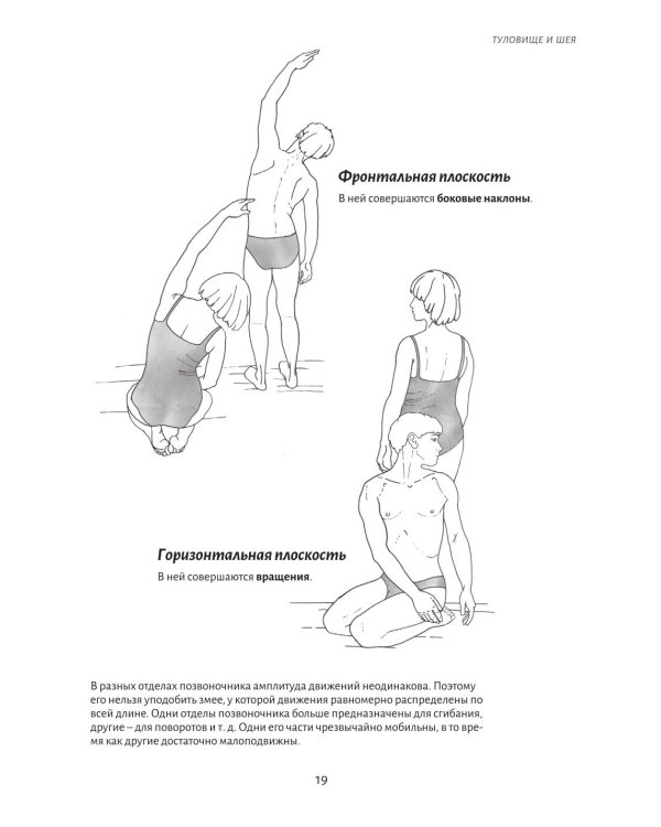 Анатомия движения: основы упражнений
