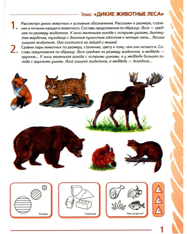 Развиваем связную речь у детей 6-7 лет с ОНР. Альбом 2. Мир животных