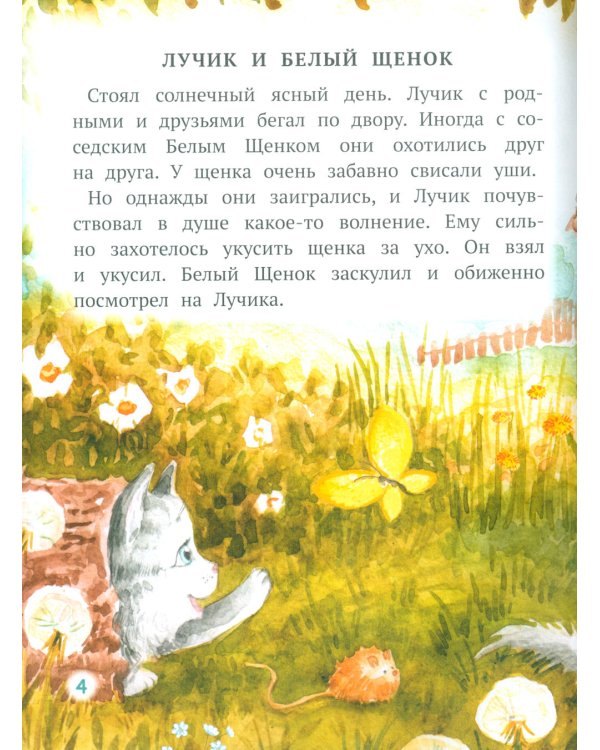 Как Лучик перестал драться