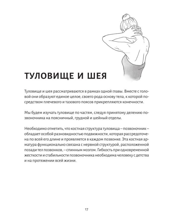 Анатомия движения: основы упражнений