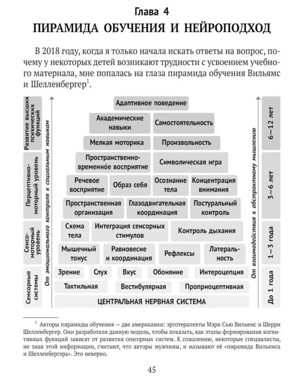 Нейроподход к развитию и обучению детей. Как работает пирамида обучения: от первых движений малыша до школьных успехов ученика