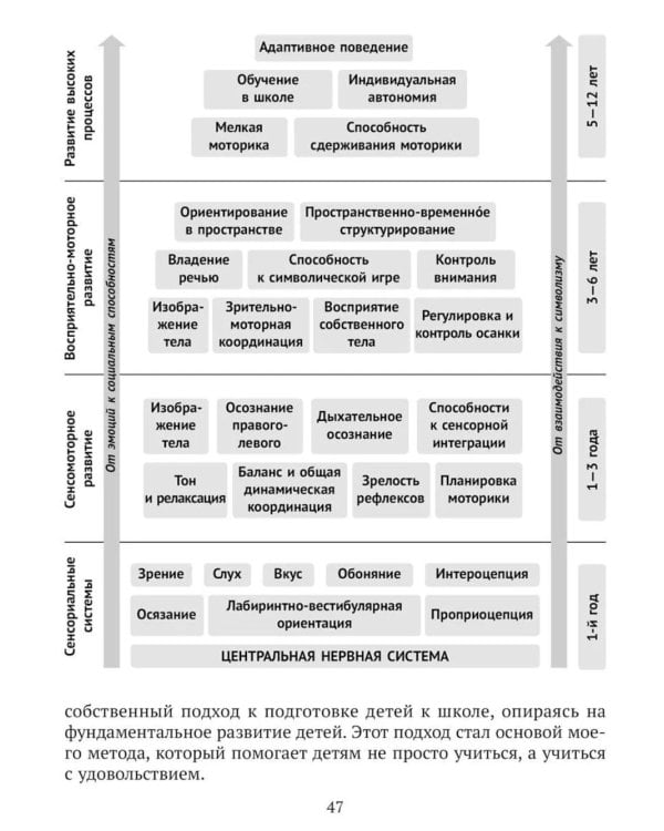 Нейроподход к развитию и обучению детей. Как работает пирамида обучения: от первых движений малыша до школьных успехов ученика
