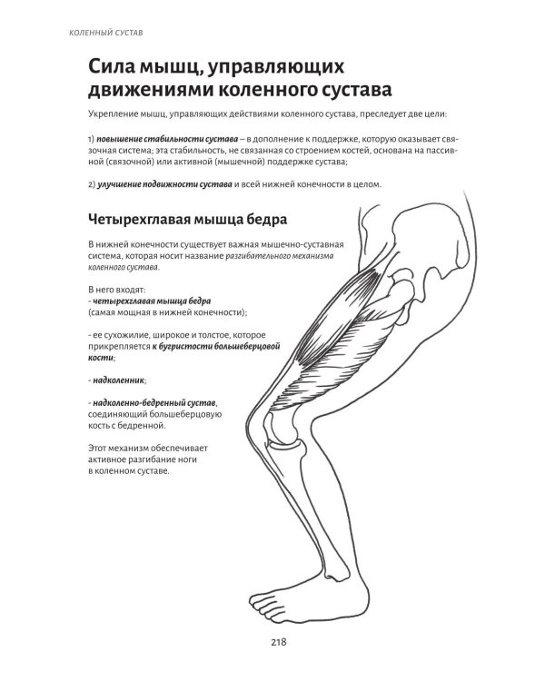 Анатомия движения: основы упражнений