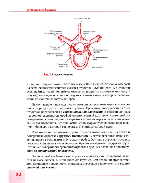 Вертебральный массаж. Диагностика и лечение заболеваний опорно-двигательного аппарата и нервной системы мануальными методами: Учебное пособие