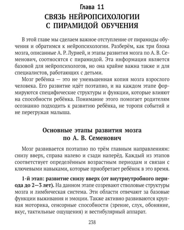 Нейроподход к развитию и обучению детей. Как работает пирамида обучения: от первых движений малыша до школьных успехов ученика