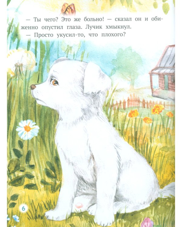 Как Лучик перестал драться