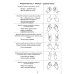 Дошкольный логопункт. Раздаточный материал для работы с детьми 5-7 лет. Приложение к книге "Дошкольный логопункт: документация, планирование и организ