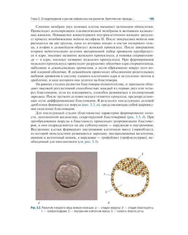 Акушерство: Учебник. 10-е изд., перераб. и доп