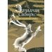 Западная Сибирь: мифы сказочной тайги