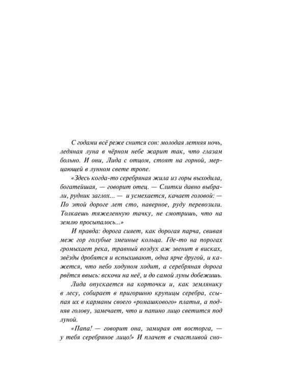 Дизайнер Жорка. Кн. 2: Серебряный рудник