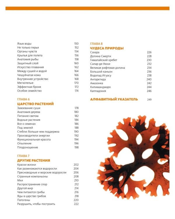 Наша планета Земля. Большая иллюстрированная энциклопедия