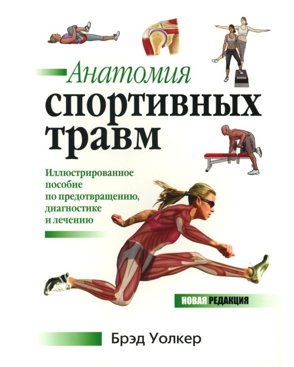 Анатомия спортивных травм: Иллюстрированное пособие по предотвращению, диагностике и лечению
