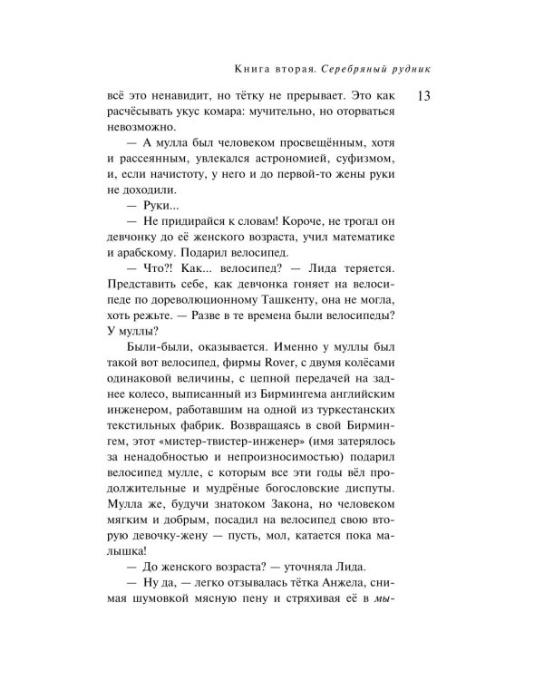 Дизайнер Жорка. Кн. 2: Серебряный рудник