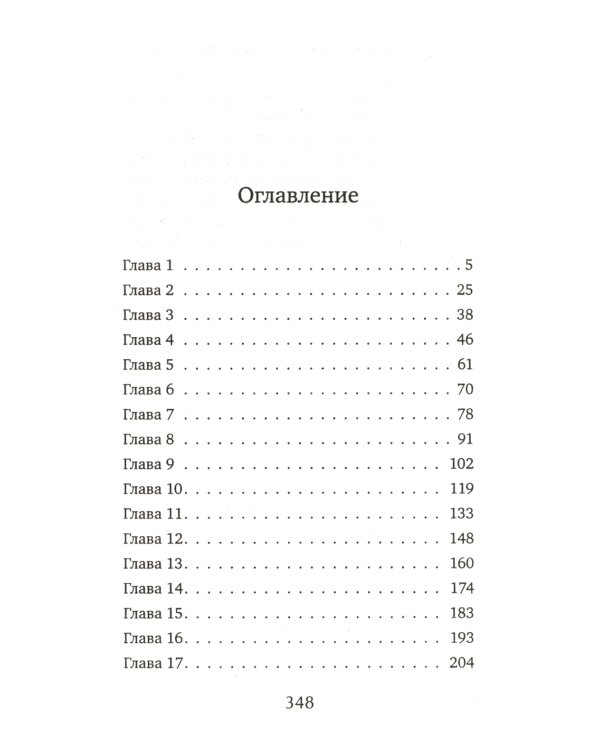 Зона турбулентности: роман