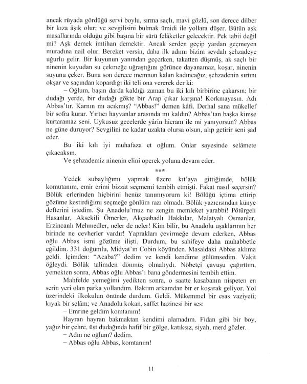 Турецкий язык. Уровни В2-С1: Учебное пособие по развитию устной речи