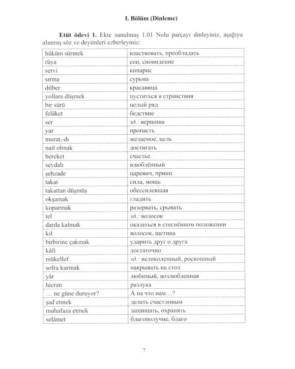 Турецкий язык. Уровни В2-С1: Учебное пособие по развитию устной речи