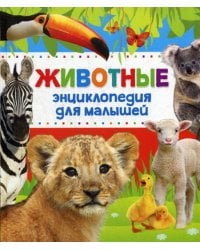 Животные Энциклопедия для малышей