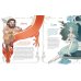 Дополнительное изображение книги «Атлас фей и других волшебных существ»