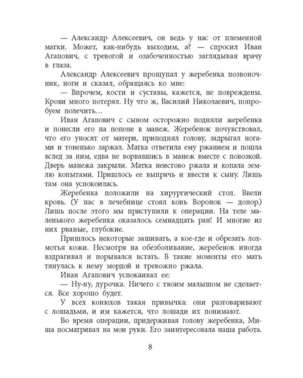 Дополнительное изображение книги «Пират, ищи!: рассказы»