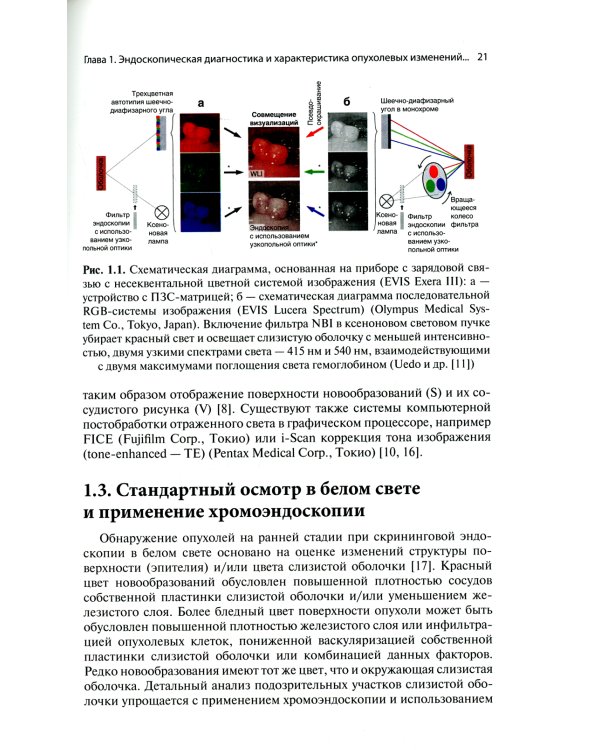 Ранние формы новообразований желудочно-кишечного тракта. Эндоскопическая диагностика и лечебная тактика: атлас