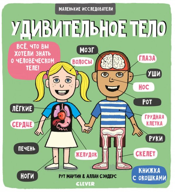 Маленькие исследователи Удивительное тело (книжка с окошками)