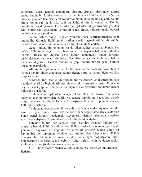 Турецкий язык. Речевая практика. Лингвострановедение. Уровни В1-В2: Учебное пособие