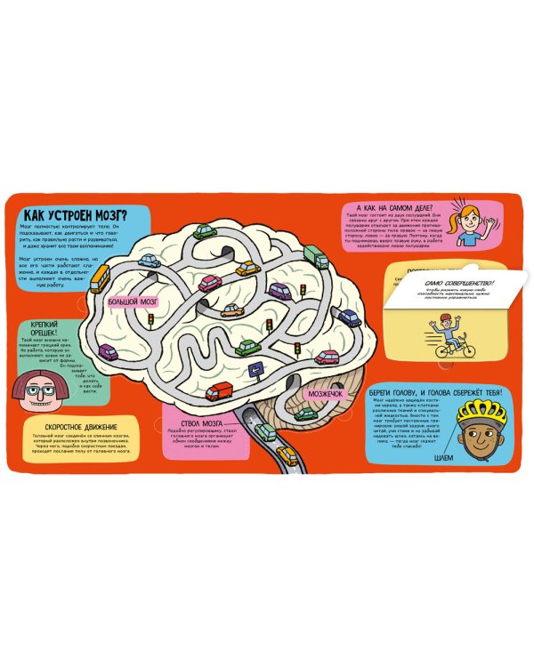 Удивительное тело (книжка с окошками)