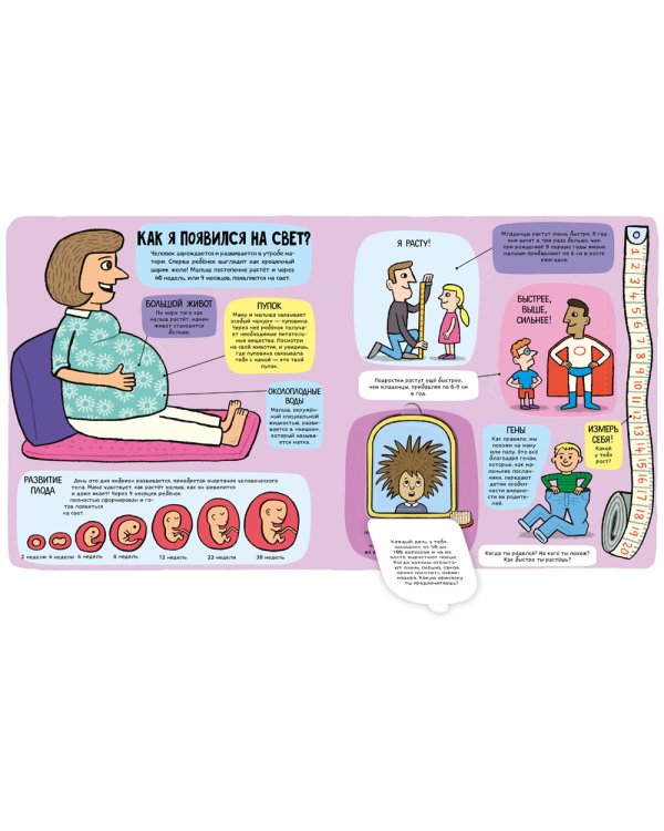 Удивительное тело (книжка с окошками)