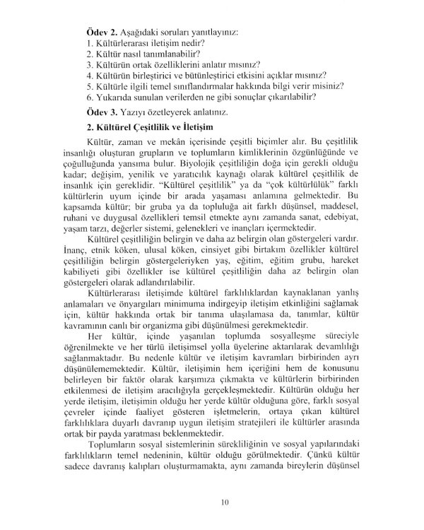Турецкий язык. Речевая практика. Лингвострановедение. Уровни В1-В2: Учебное пособие