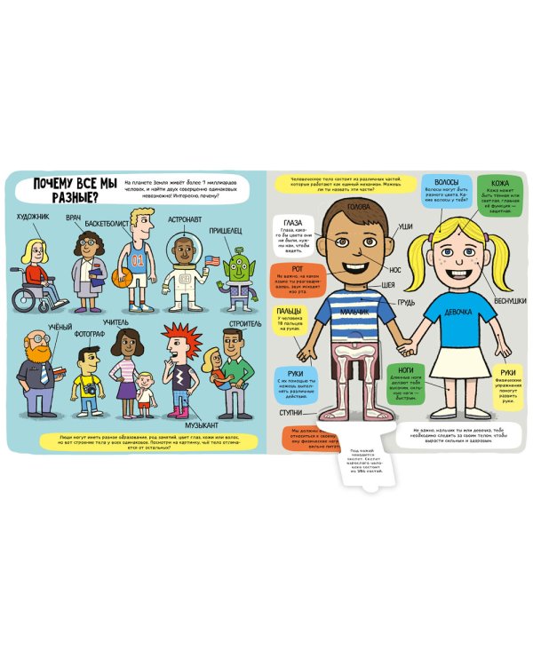 Удивительное тело (книжка с окошками)